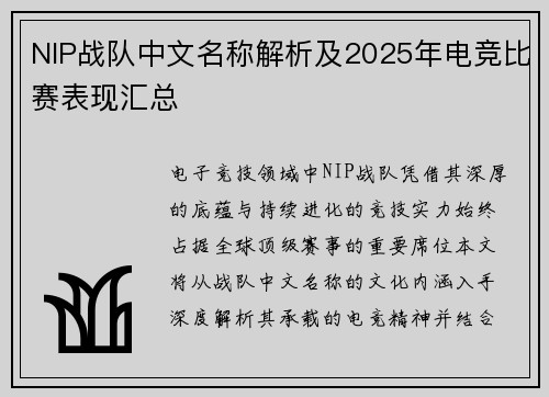 NIP战队中文名称解析及2025年电竞比赛表现汇总